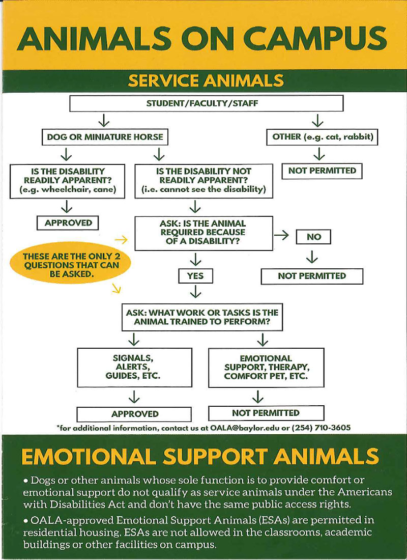 Service Animals on Campus