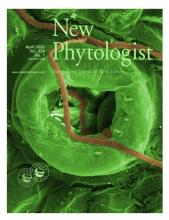 New Phytologist
