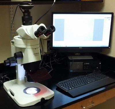 Stereomicroscope SZX16 with fluorescence unit Olympus Corp.