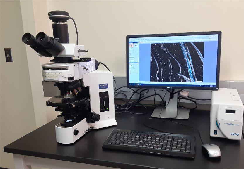 Light Microscope BX51