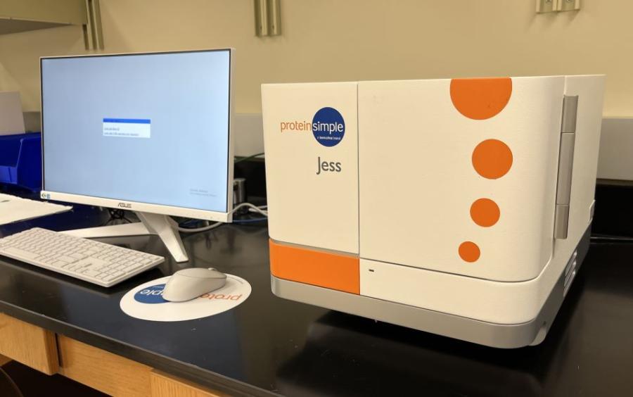 Bio-Techne Jess Automated Western Blot
