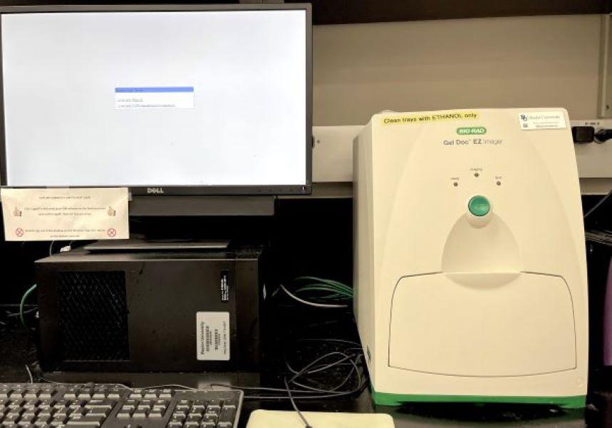 BioRad Gel Doc EZ Imager